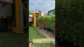 agriculture Hightech tree trimmer [upl. by Smitt]