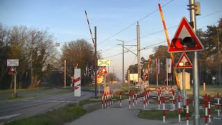 Spoorwegovergang Palić Палић SRB  Railroad crossing  Железнички прелаз [upl. by Esereht907]