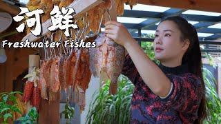 Freshwater Fishes Fresh Flavors from Streams in Yunnan Mountains【滇西小哥】 [upl. by Nylrak]