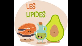 Biochimie  les lipides ملخص رائع لدرس الدسم 🤩❤️  biologie  médecine  pharmacie [upl. by Nerok]