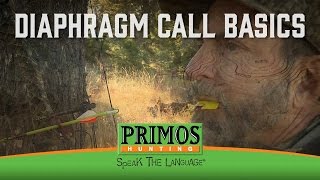 How to Call Elk with a Mouth Call [upl. by Hendrika616]