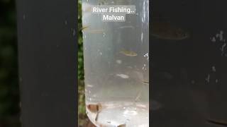 River Fishing Malvan fishing malvan malvanilife rain villagelife [upl. by Nnoryt]