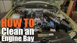 CleanProtect GUNK Engine Cleaner  How to Degrease Engine Bay [upl. by Claude]