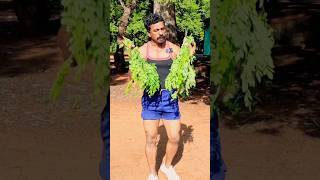 Diet plan Ideas tamil  Healthy Life style  Sathish fitness tamil [upl. by Anilehcim]