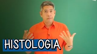 Tecido Epitelial e Tecido Endócrino  Resumo para o ENEM Biologia  Descomplica [upl. by Ientruoc461]