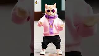 Pattak Chak De  Cat Dance  Short Video 🥰🥰🥰 [upl. by Ivana]