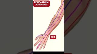 The Pericardium Meridian Acupuncture Points [upl. by Saihttam511]