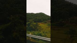 Green Forest Capas Tarlac Philippines shorts forest philippines viral [upl. by Notnelc]