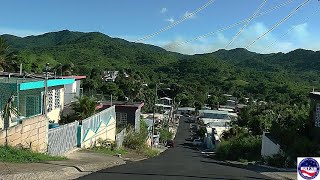 My daily walk in Puerto Rico Garden amp Music CD Signed [upl. by Meara]