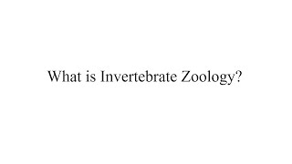 What is Invertebrate Zoology [upl. by Naols]