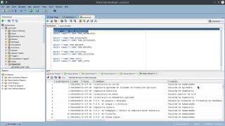 CARGA MASIVA DE DATOS BASE DE DATOS ORACLE [upl. by Eimam]