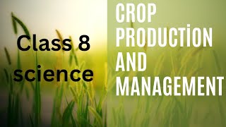 what is crop  types of crops  crop production and management class 8  kharif crop  rabi crops [upl. by Nnaynaffit]