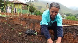 A HORTA DA MARGARIDA E O MAXIXE DE GRINGO [upl. by Carberry]