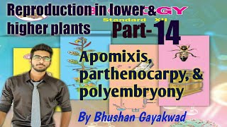 apomixis  parthenocarpy  polyembryony  part 14 reproduction in lower and higher plants [upl. by Notneb348]