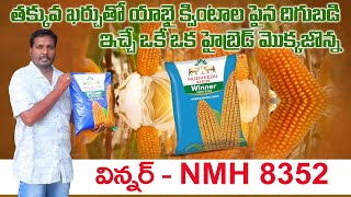 రబీలో అత్యదిక దిగుబడి ఇచ్చే హైబ్రెడ్ మొక్కజొన్న  Best Maize Seed for Rabi  AgriTech Telugu [upl. by Adianes]