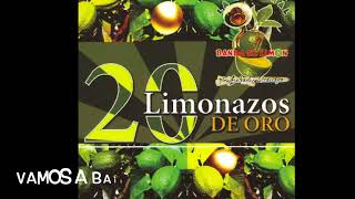 La Original Banda El Limón 20 Limonazos De Oro [upl. by Cooe932]