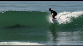 Kolohe Andino Shark or Dolphin  Jordy Smith and Mick Fanning Shred Fest [upl. by Yam]