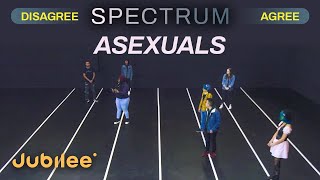 Do All Asexuals Think the Same  Spectrum [upl. by Pine234]