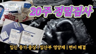 임산부 브이로그 20주 정밀검사 임신중기 느끼는 증상들  임산부 유산균 외 영양제  변비 해결 [upl. by Ranchod618]