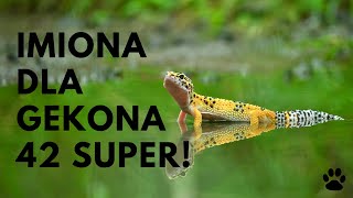 Imiona Dla Gekona  42 SUPER Imiona [upl. by Kylen447]