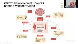 Caquexia y Cáncer en el Adulto Mayor Mecanismos fisiopatológicos Dr Armando Luna López [upl. by Essile279]