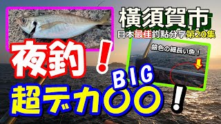 【釣り魅力 横須賀うみかぜ海風公園】人生初の超BIG〇〇！銀色細長の魚が！日本最佳釣點分享第20集 [upl. by Pooley]