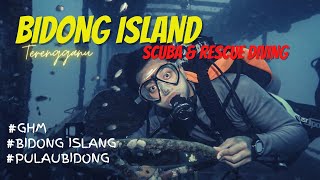 Scuba Diving amp Rescue Bidong Island Terengganu [upl. by Justin]