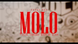 Ceeka RSA  Molo WavFiles ft Tyler ICU Leemckrazy Matute Boy DJ Exit [upl. by Akel]