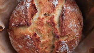 ARTISAN BREAD  NO KNEAD BREAD  Homemade Dutch Oven Bread  Crusty Bread 4K Juicing Peaches [upl. by Nyvlem]