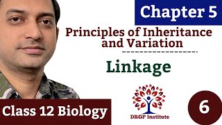 Linkage and Recombination  Chapter 5  Principles of Inheritance and Variation  06  Class 12 [upl. by Ellinnet834]