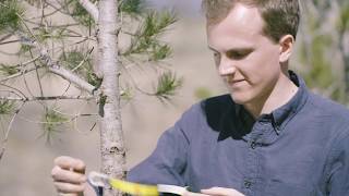 Land Life Company  How to monitor your Cocoon trees [upl. by Bremen]