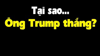 Đây chính là lý do ông Trump thắng [upl. by Narot459]