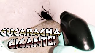 MATANDO A UNA CUCARACHA GIGANTE  AzTeKWolF [upl. by Edialeda52]