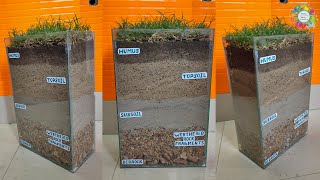 How to Make Soil Profile Project for schoolcollege students [upl. by Goode280]