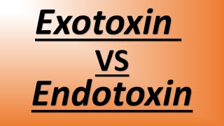 Microbiology for USMLE students  Exotoxin vs Endotoxin [upl. by Stearn]