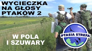 Wycieczka na głosy  pola i szuwary [upl. by Skantze750]