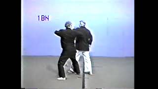 Tracy Kenpo Karate 1st Brown Belt Double Spear ABCD [upl. by Yssak776]