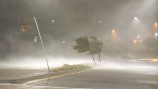 LIVE  Hurricane Milton Winters amp Yonker PA  Tampa [upl. by Artenek]