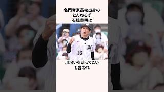 「プロには届かなかったけど」強豪校出身芸能人に関する雑学野球野球解説 芸能人 [upl. by Yuma]