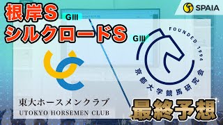 【根岸ステークス・シルクロードステークス 2024最終予想】東大HCの本命は東京実績十分の末脚自慢！ 京大競馬研の本命は内枠に入ったパワータイプ （東大・京大式） [upl. by Emelia]