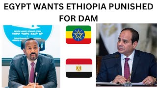 Egypt Wants Ethiopia Punished For Dam  GERD [upl. by Annoyk676]