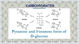 Pyranose and Furanose form of Dglucose  Orientation and formation of cyclic structures [upl. by Odragde]