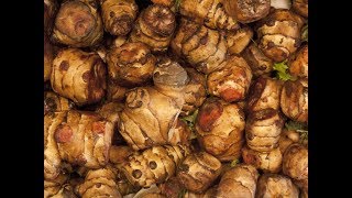 Crisp Roasted Jerusalem Artichokes [upl. by Cr507]