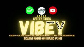 Vibey Deep House Mix Spotify x Vevo [upl. by Drofnas]