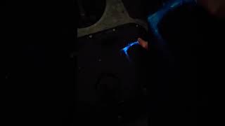 SoCal bioluminescence in the kayak after lobster fishing fishing lobster [upl. by Napra]