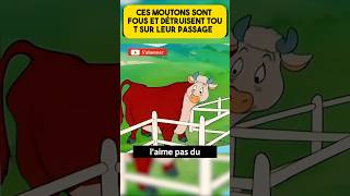 Ces moutons sont fous [upl. by Paynter]