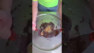 Egg vs chocolate cake ice cream challenge 🍨 shorts by Ethan Funny Family [upl. by Nevada]