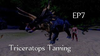 Triceratops Taming – How To Tame Triceratops – Ark Survival EvolvedEP 7 [upl. by Sundberg]