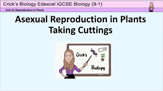 Asexual Reproduction in Plants  Taking CuttingsBiology iGCSE Plant ReproductionCricks Biology [upl. by Gram512]