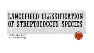 Lancefield classification of streptococcus species [upl. by Hairaza115]